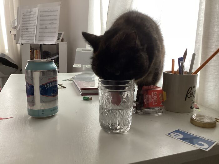 Insert Witty Title And Apology For My Messy Room But Make It Funny