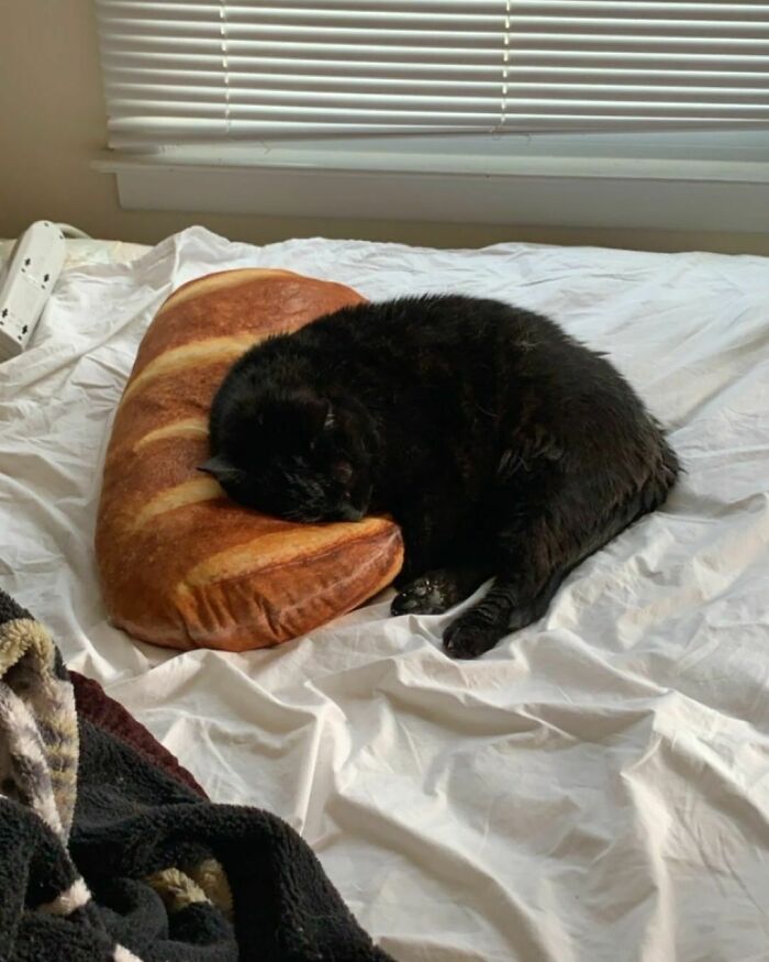 Finding-Baguettes-In-Unusual-Places