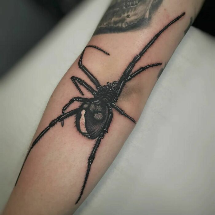 Big spike with long legs tattoo on the elbow