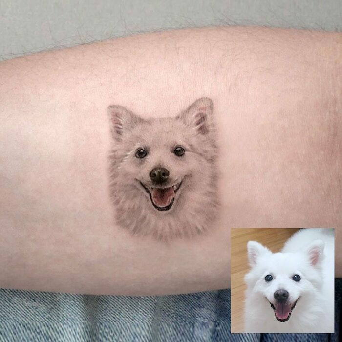 Picture tattoo of dog's face