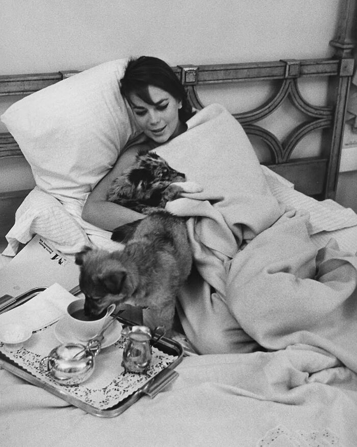 Long Weekend Vibes. Natalie Wood Lounging In Bed With Her Dogs, 1963. Photo By Bill Ray