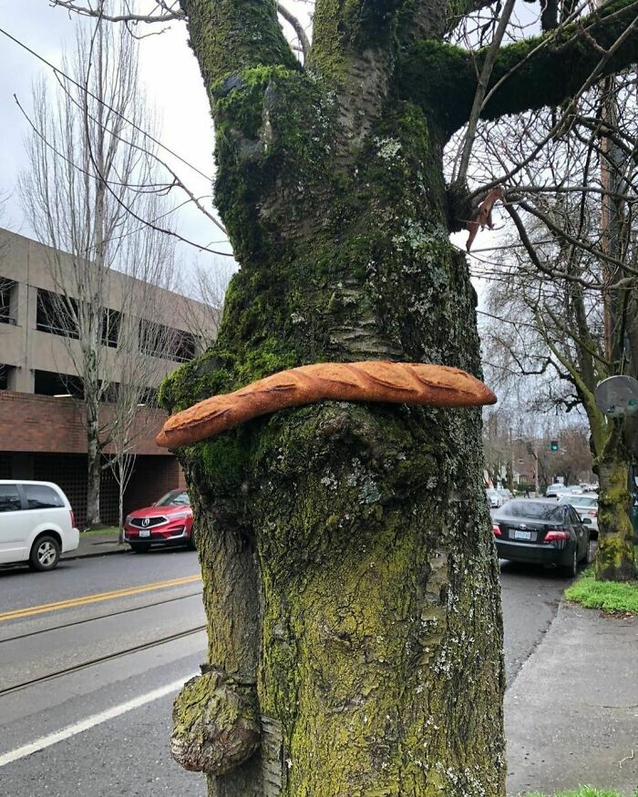 Finding-Baguettes-In-Unusual-Places