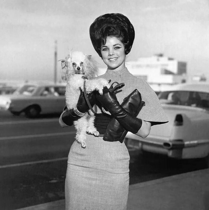 Priscilla Presley With Her Dog, Honey At Memphis International Airport, 1963. Photo By Michael Ochs