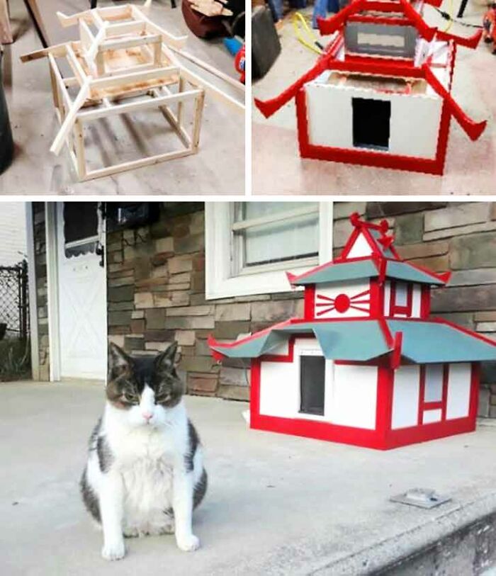 My Boyfriend Spent 3 Months On An Outdoor Heated Cat House For My Guy. Hasn’t Stepped Into It Once