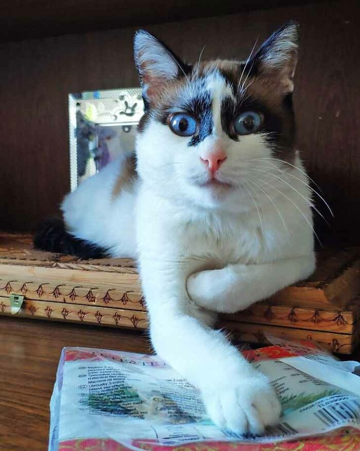 What Ya Eating, Mom?