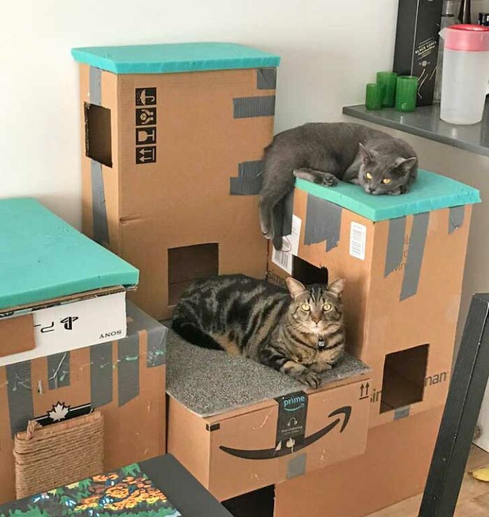 DIY’ed A Tower For My Cats From Amazon Boxes. I Think They Enjoy It