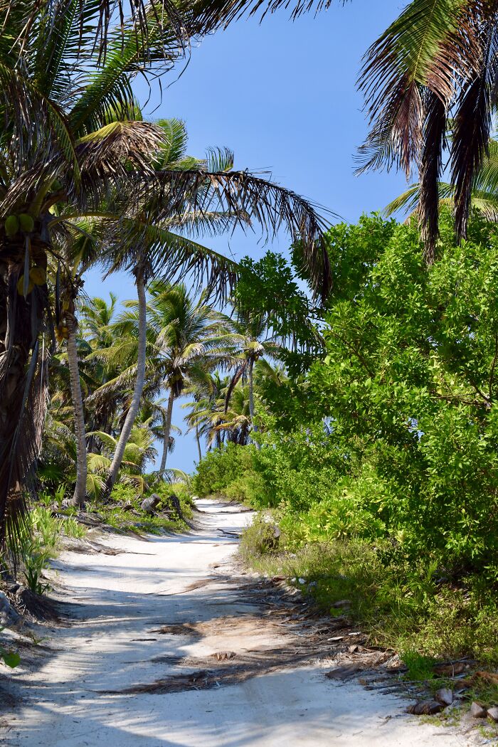The Road Going North On Ambergris Caye, Belize