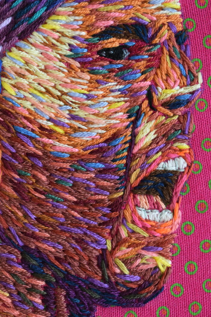 Stitching Stories Of Color (6 Pics)