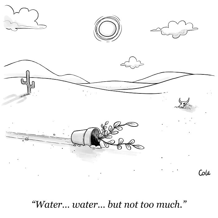 I've Been Making Single Panel Cartoons For Over A Decade. Here Are 40 Of The Best!