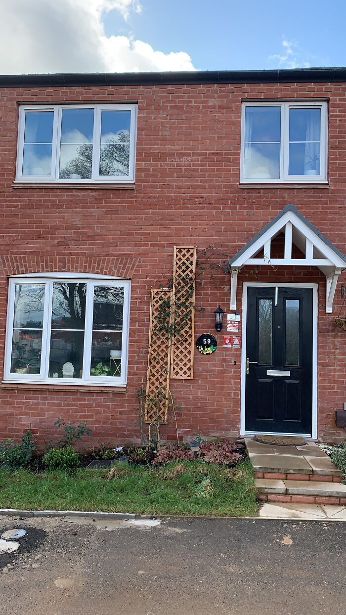 I Transformed My New Build Garden: A Journey Of Creativity And Growth (9 Pics)