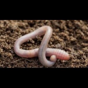 thomashoutman09 avatar