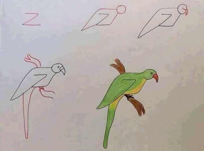 This Facebook Page Make A 21 Drawing For Children's Shahid Iqbal Pakistan