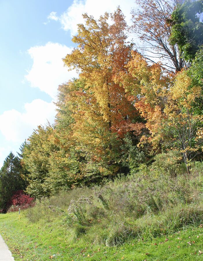 On The Side Of The Road