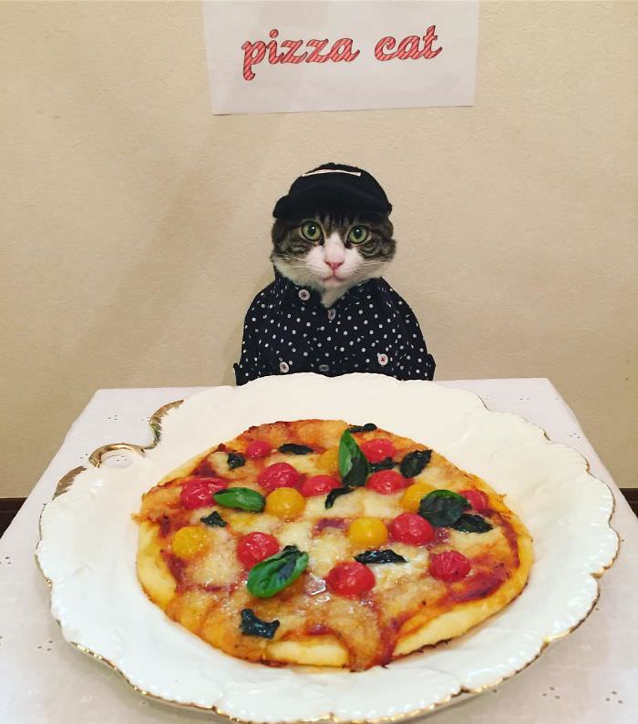 Cosplaying Cat Chef Dines With His Mom Every Night In Different Outfit (30 Pics)