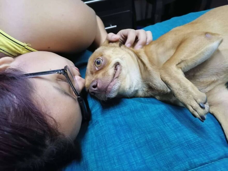 Meet Odin, An Adorable Dog Couldn’t Be Any Happier With His Own Surprise Party Meet Odin, An Adorable Dog Couldn’t Be Any Happier With His Own Surprise Party