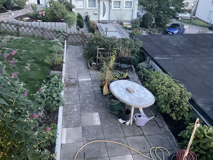 A Part Of My Backyard