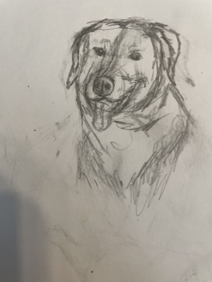 One Of My Better Ones, This One I Got Closest To Look Like The Picture