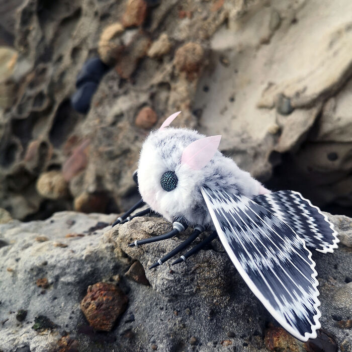 I Was Terrified Of Moths Before Making These Cute Dolls, But My Phobia Turned To Love