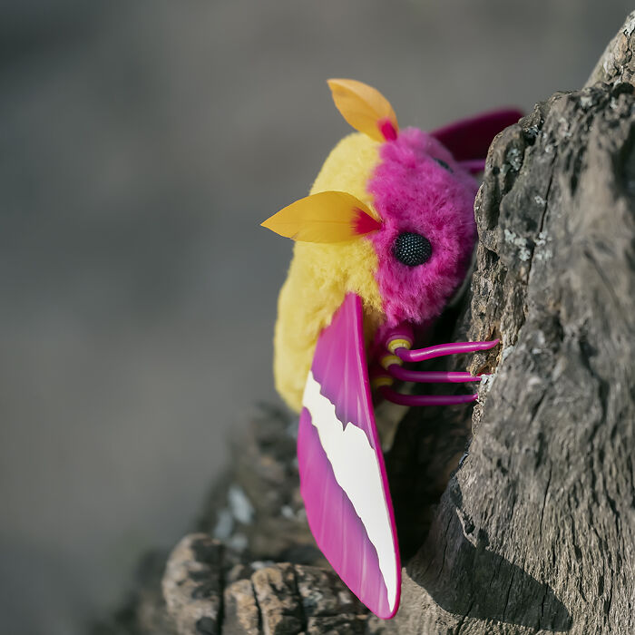 I Was Terrified Of Moths Before Making These Cute Dolls, But My Phobia Turned To Love