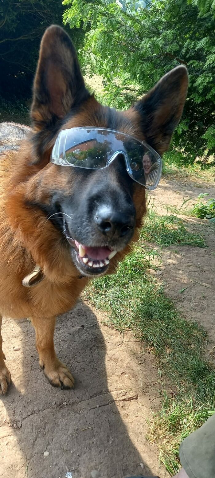 This Fella Cost A Fortune And Continues To Do So, Totally Worth It 12/10, Would Do It Again In A Heartbeat