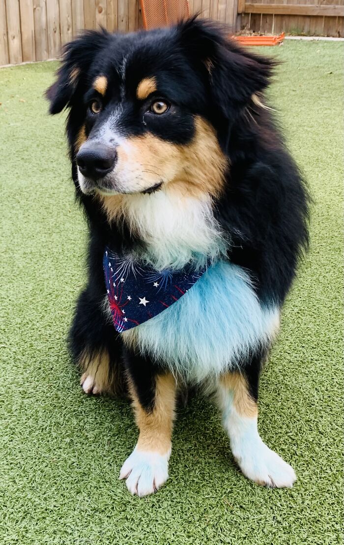 Having A Great Day🥰