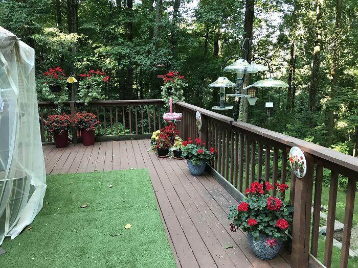 My Deck Is My Go To Garden This Year And Peace Of Mind