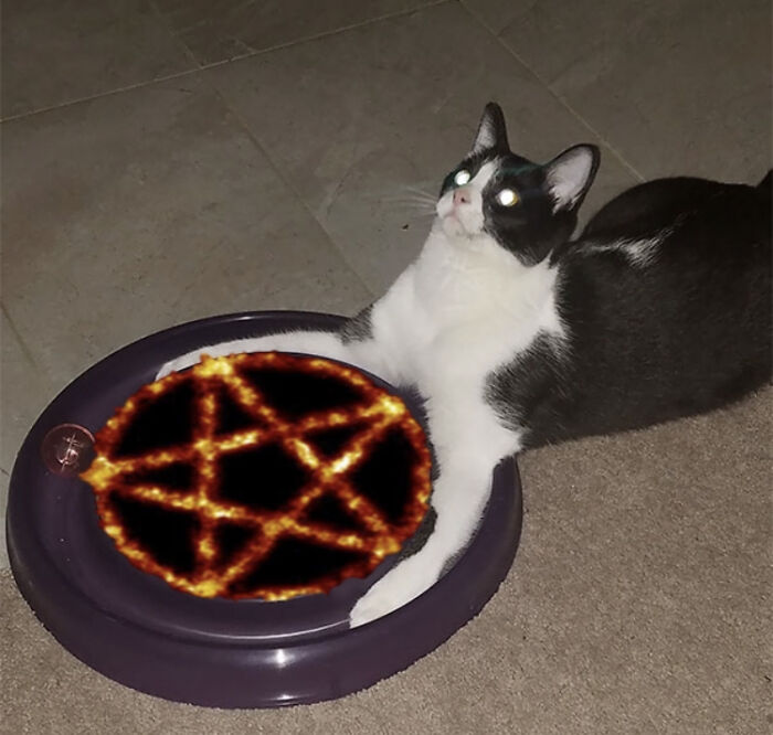 I Summon Lord Cathtulu