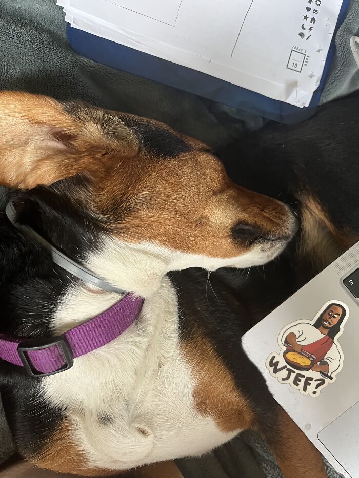 And Here’s My Other Weirdo