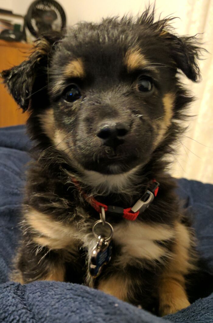 Hi... I'm Finnegan. I'm Cute Just Standing