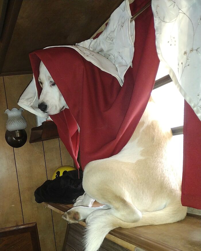 This Guy Always Makes Me Laugh