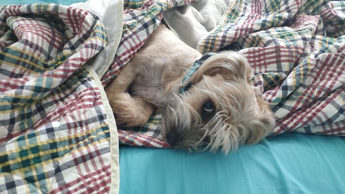 The Look Of Complete Manipulation