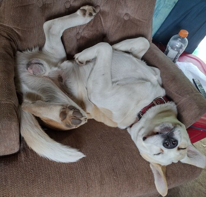 This Is How He Always Sleeps