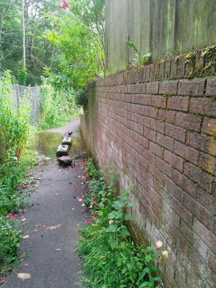 This Photo Down An Alley Tape Place