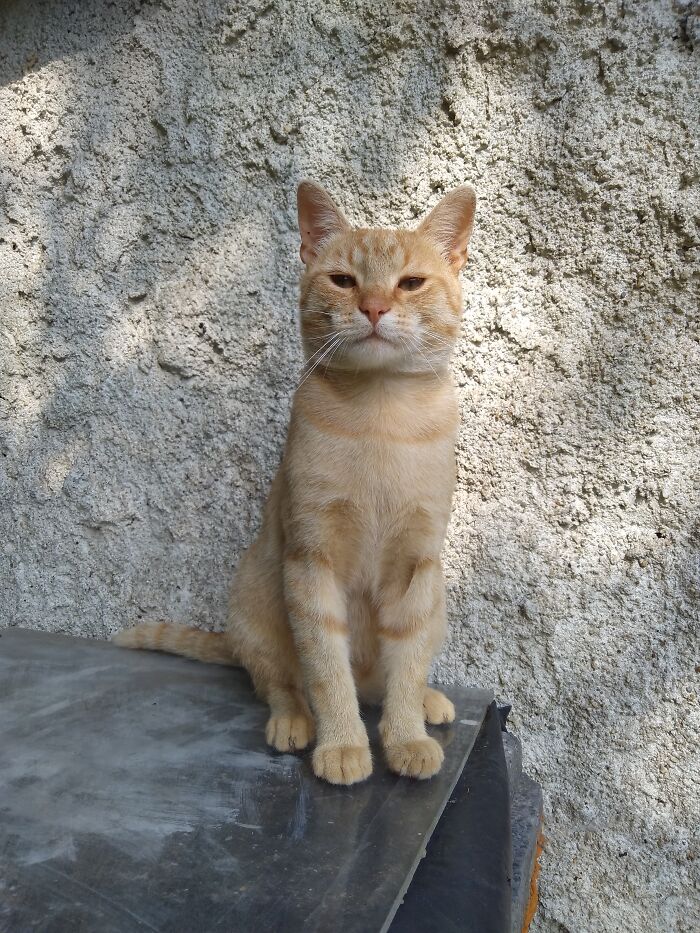 Stand Tall, Shoulders Back, Tuck Your Tummy, Put On Your Best Face, 3,2,1... Ready For The Photo!