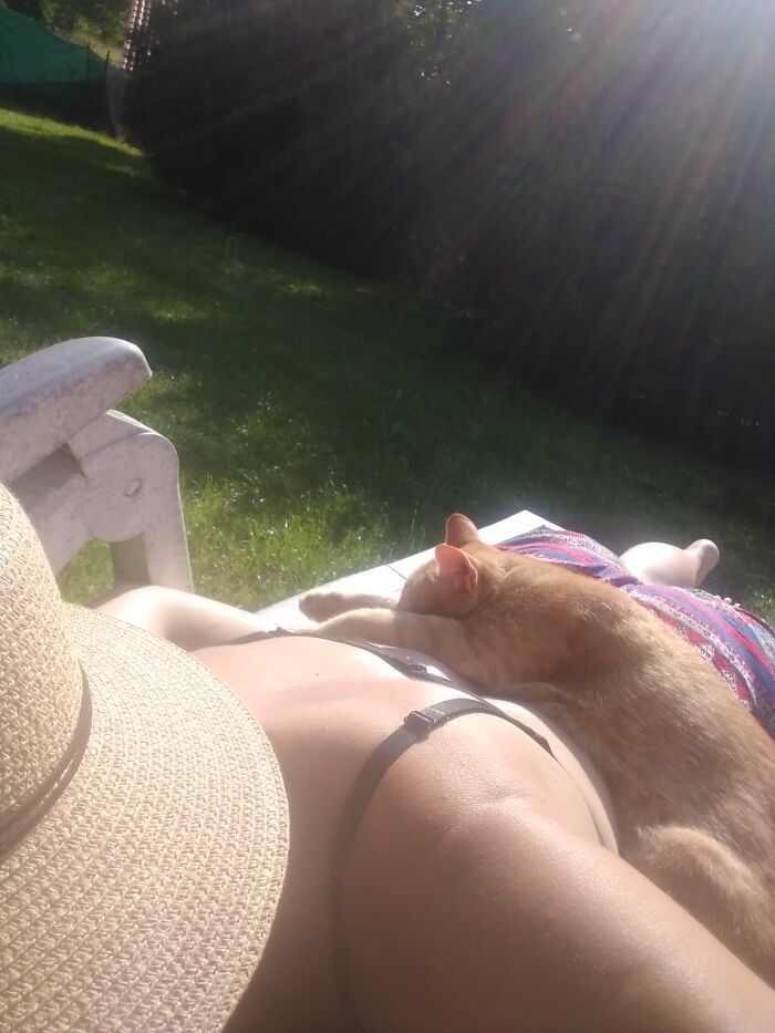 Sunbathing With My Cat