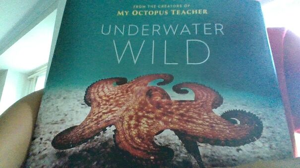 Underwater Wild: A Thick Book And Has An Amazing Story Filled With Cool Pictures