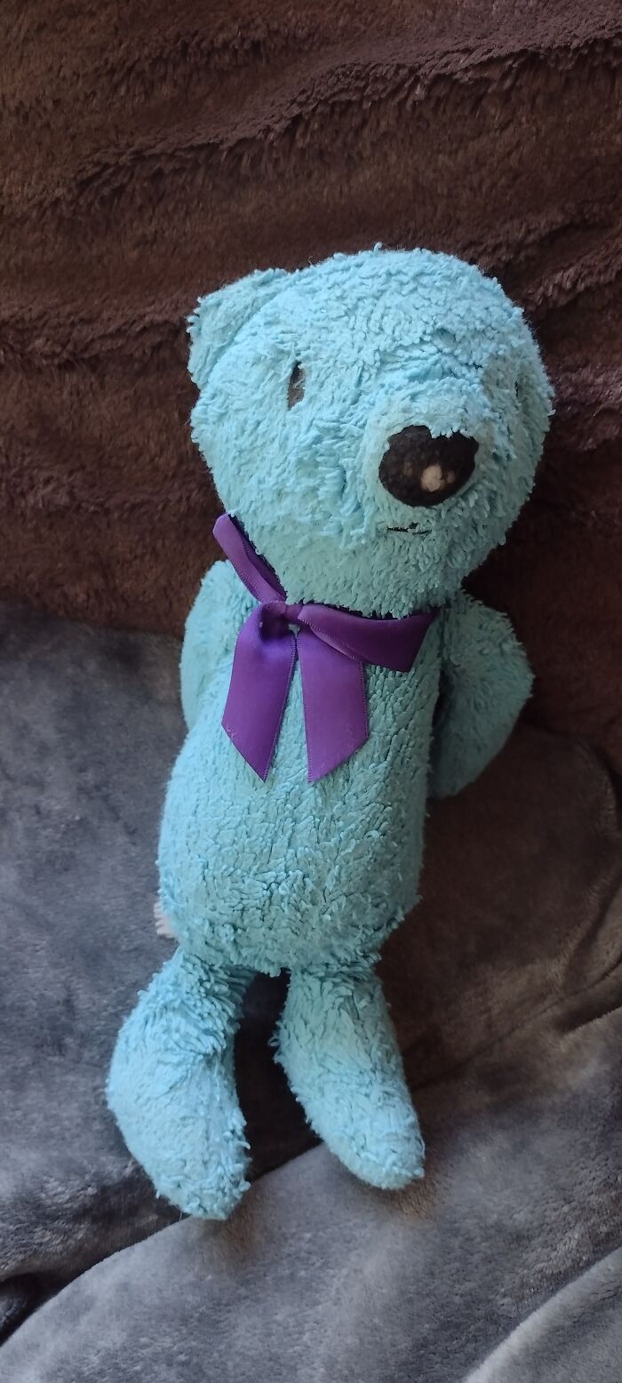 This Is Blueberry! I've Had Him Since I Was Two