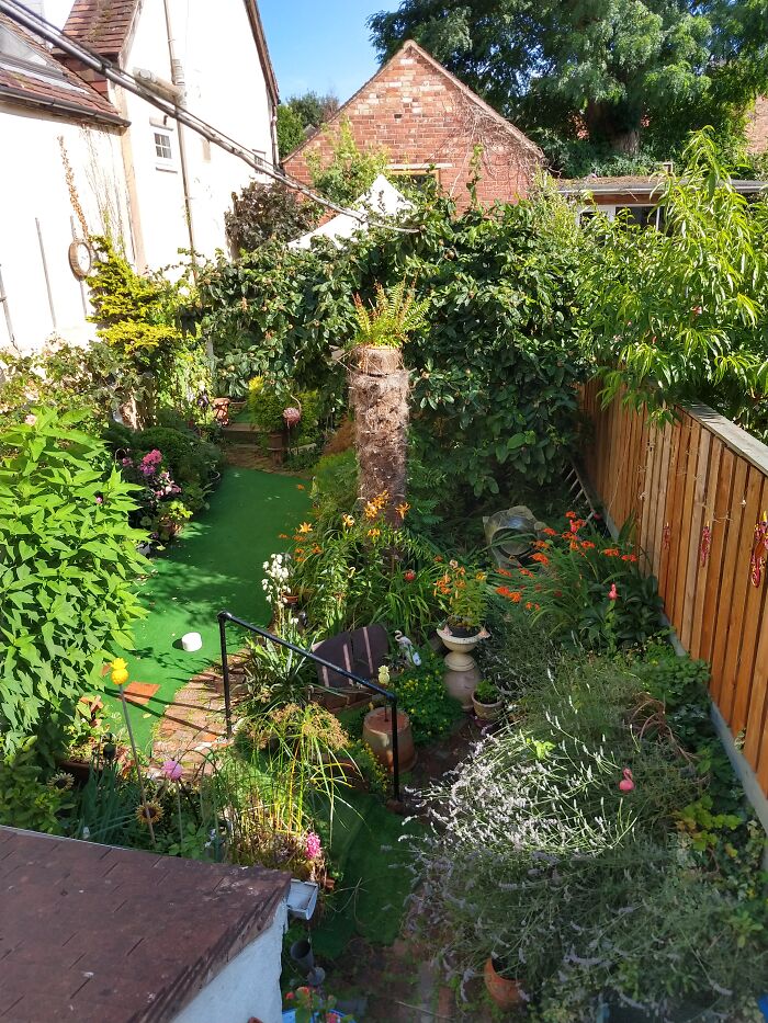 My Garden From Upstairs Window. Crowded And Messy, But Lovely To Sit. Which I Am Even As We Speak