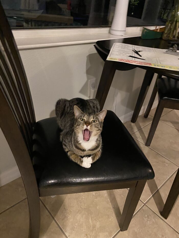 This Photo Sums Up My Little Fig’s Personality Pretty Well