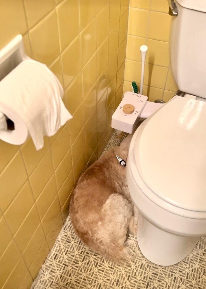 Not Everyone Likes Fireworks