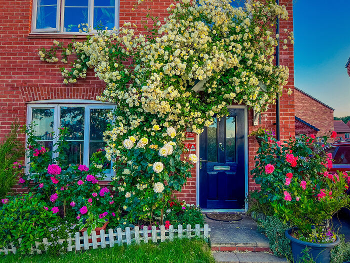 I Transformed My New Build Garden: A Journey Of Creativity And Growth (9 Pics)