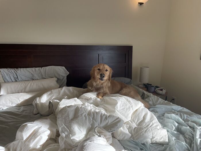 This Is Benny (Almost 2 Years Old)