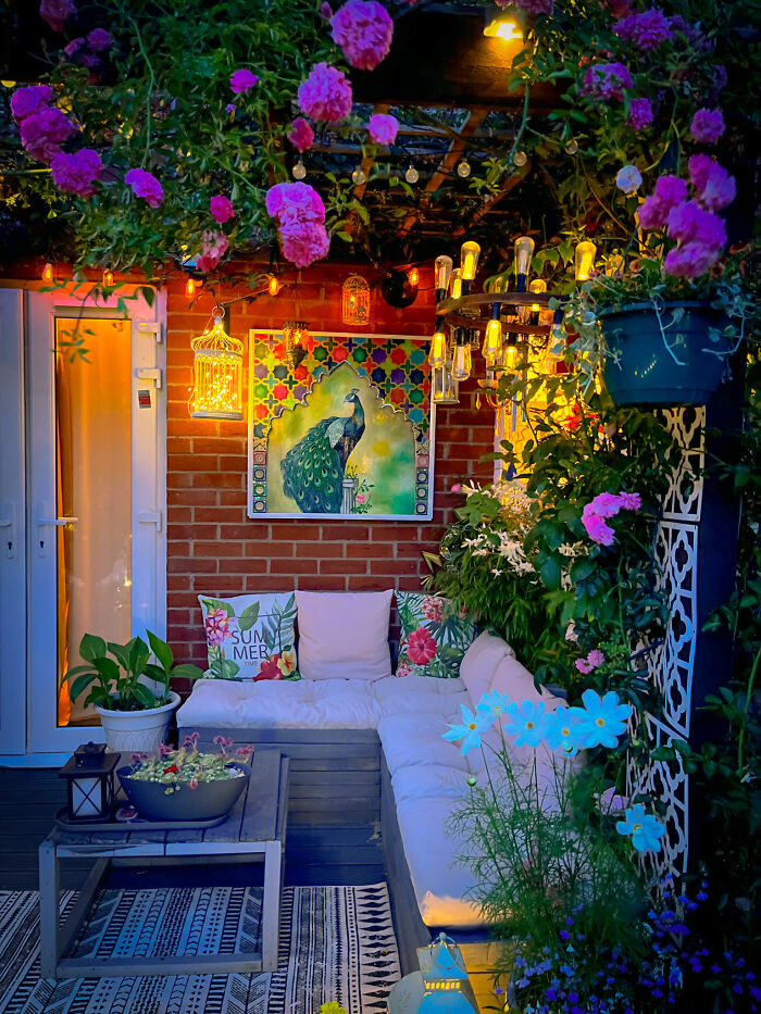 I Transformed My New Build Garden: A Journey Of Creativity And Growth (9 Pics)