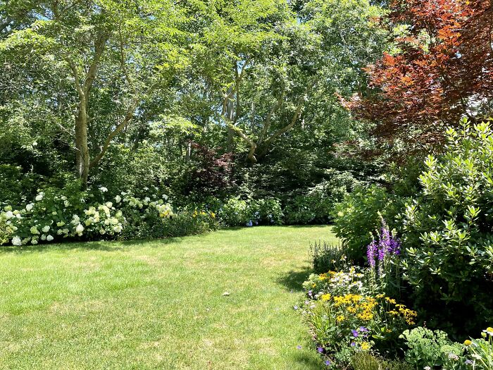 Used To Be Just Invasive Vines…