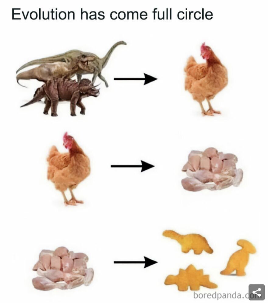 30 Memes To Make Your Day Better