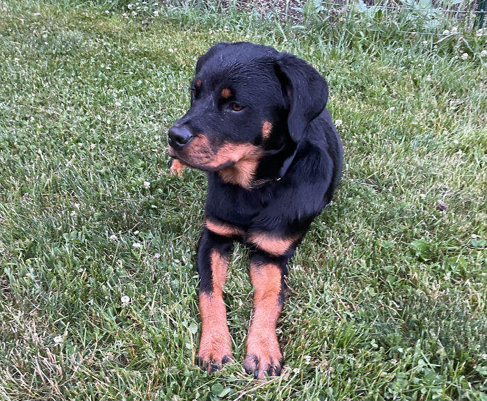 This Had To Happen And Since My Husband Was Home When We Got Her - It Was Perfect But She Was Mega $$$