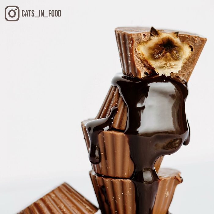 In An Oddly Cute Way, This Artist Keeps Pairing Cats With Food (New Pics)