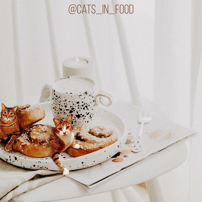 In An Oddly Cute Way, This Artist Keeps Pairing Cats With Food (New Pics)