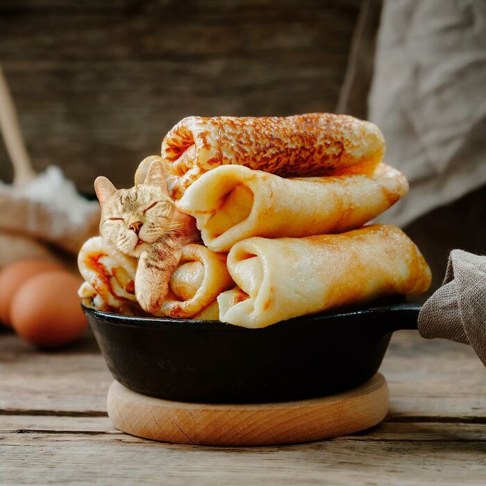 In An Oddly Cute Way, This Artist Keeps Pairing Cats With Food (New Pics)