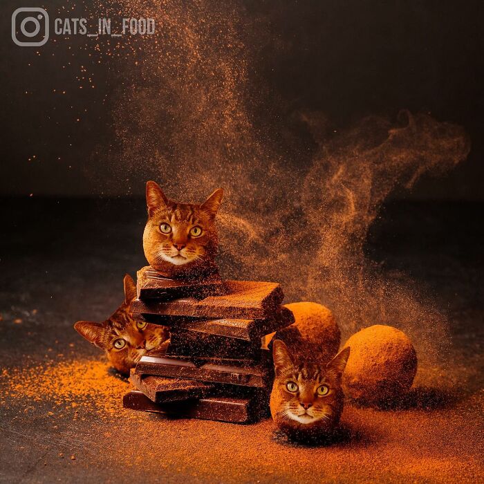 In An Oddly Cute Way, This Artist Keeps Pairing Cats With Food (New Pics)